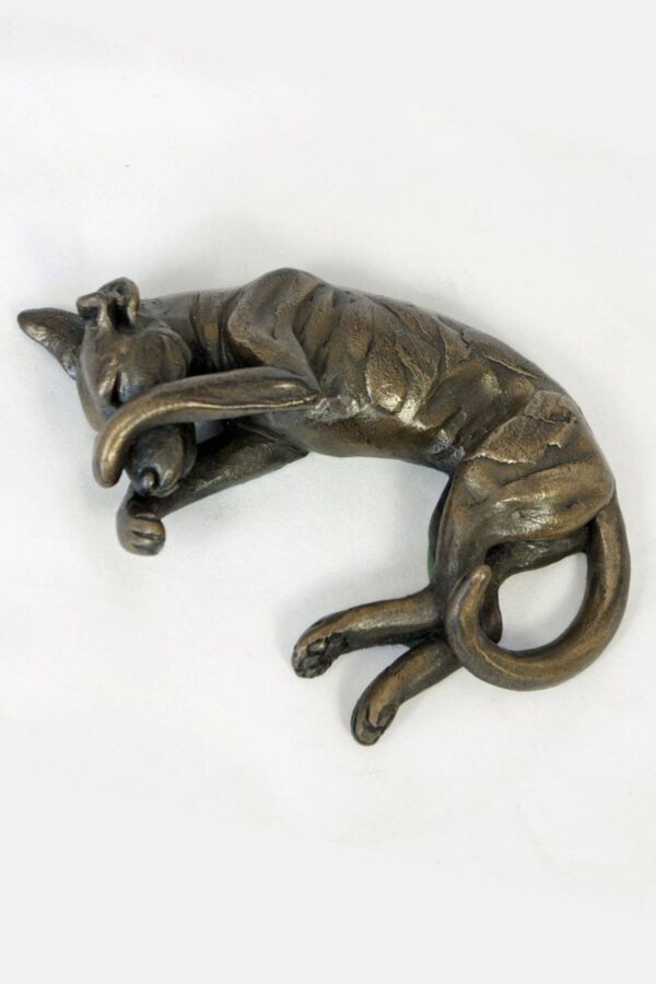 bronze resin Dog paw over eye 14 x 4cm