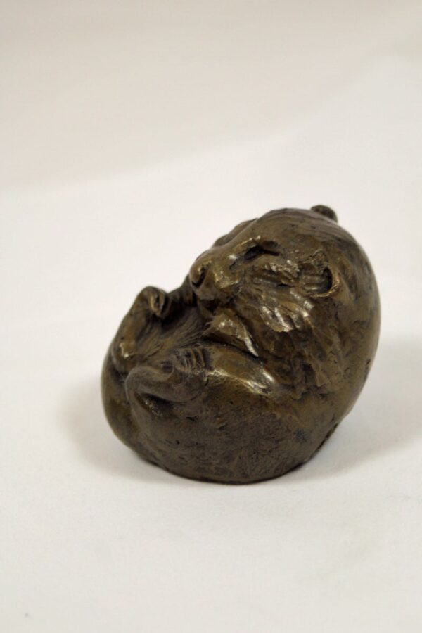 bronze resin Dormouse asleep