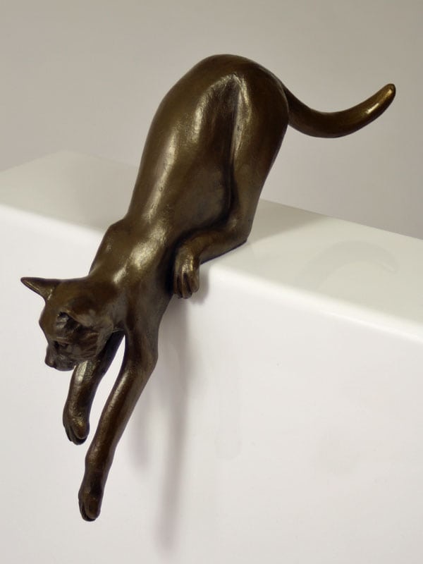 Large shelf cat jumping down
