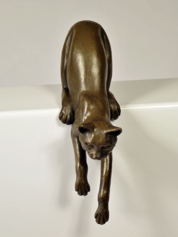 Large shelf cat jumping down