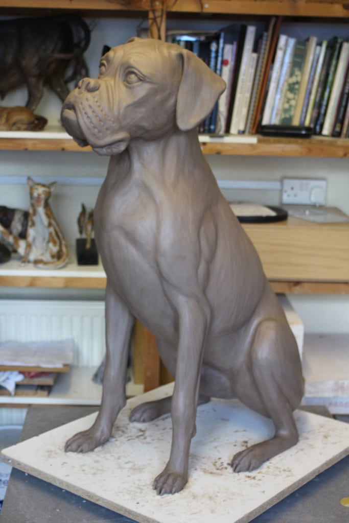 Cassius - Full size Boxer commission. - finished clay